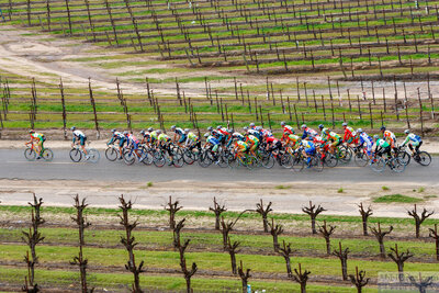 Pro 1 Men's field on last lap. The wind and pace has dwindled down the size of the pack.McLane Road Race 2006. Helicopter view — AbbiOrca cycling race photography