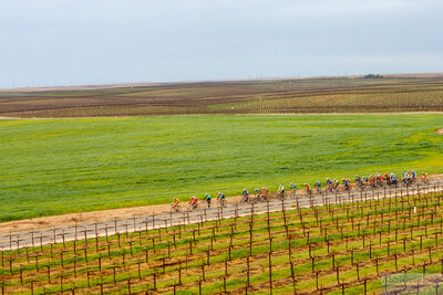 Pro 1 Men's field on last lap. The wind and pace has dwindled down the size of the pack. McLane Road Race 2006. Helicopter view — AbbiOrca cycling race photography